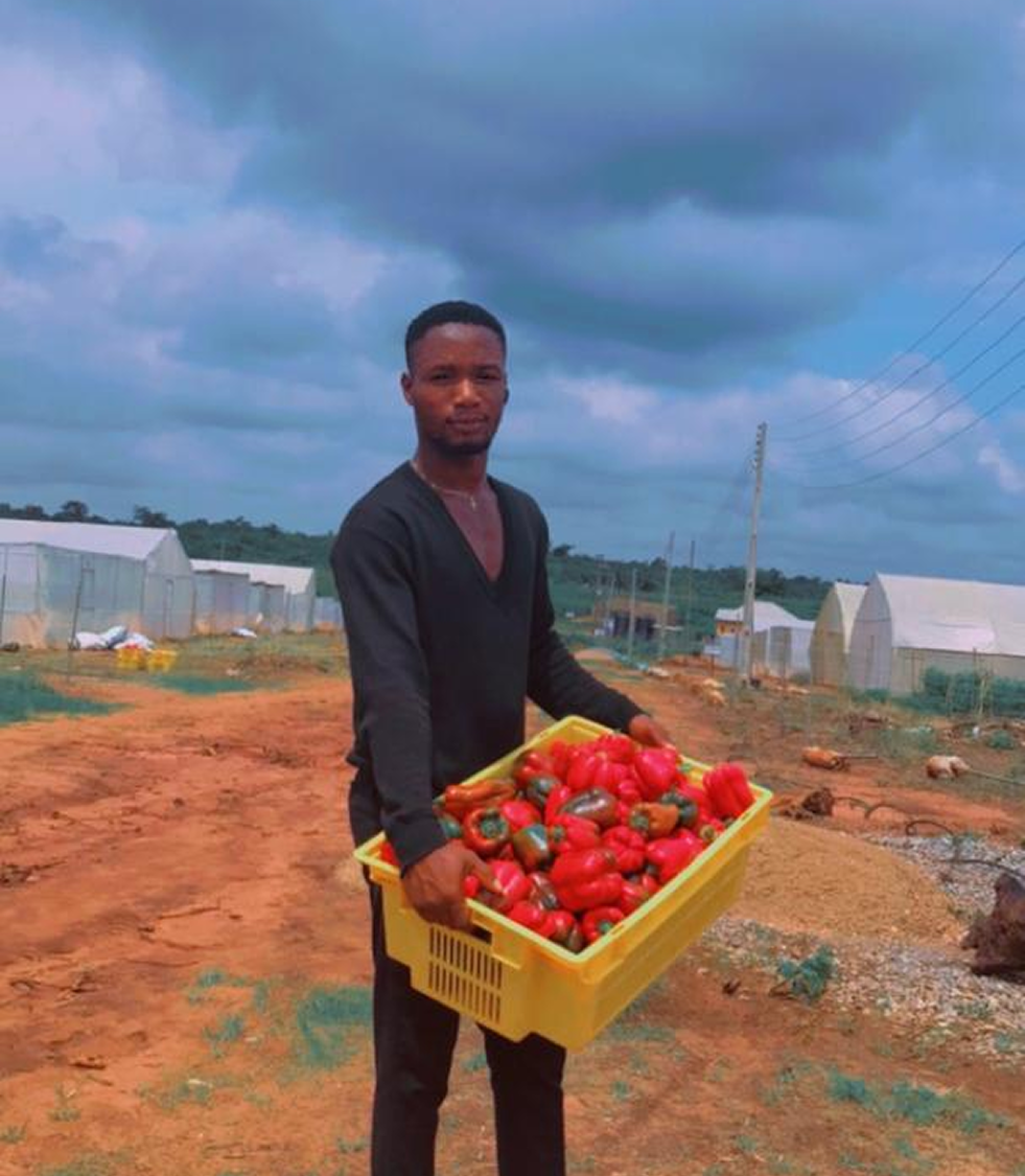 Fresh Bell Pepper